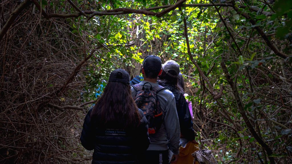Tour Humedal Bosque las Petras 11 de febrero “Cupos agotados”